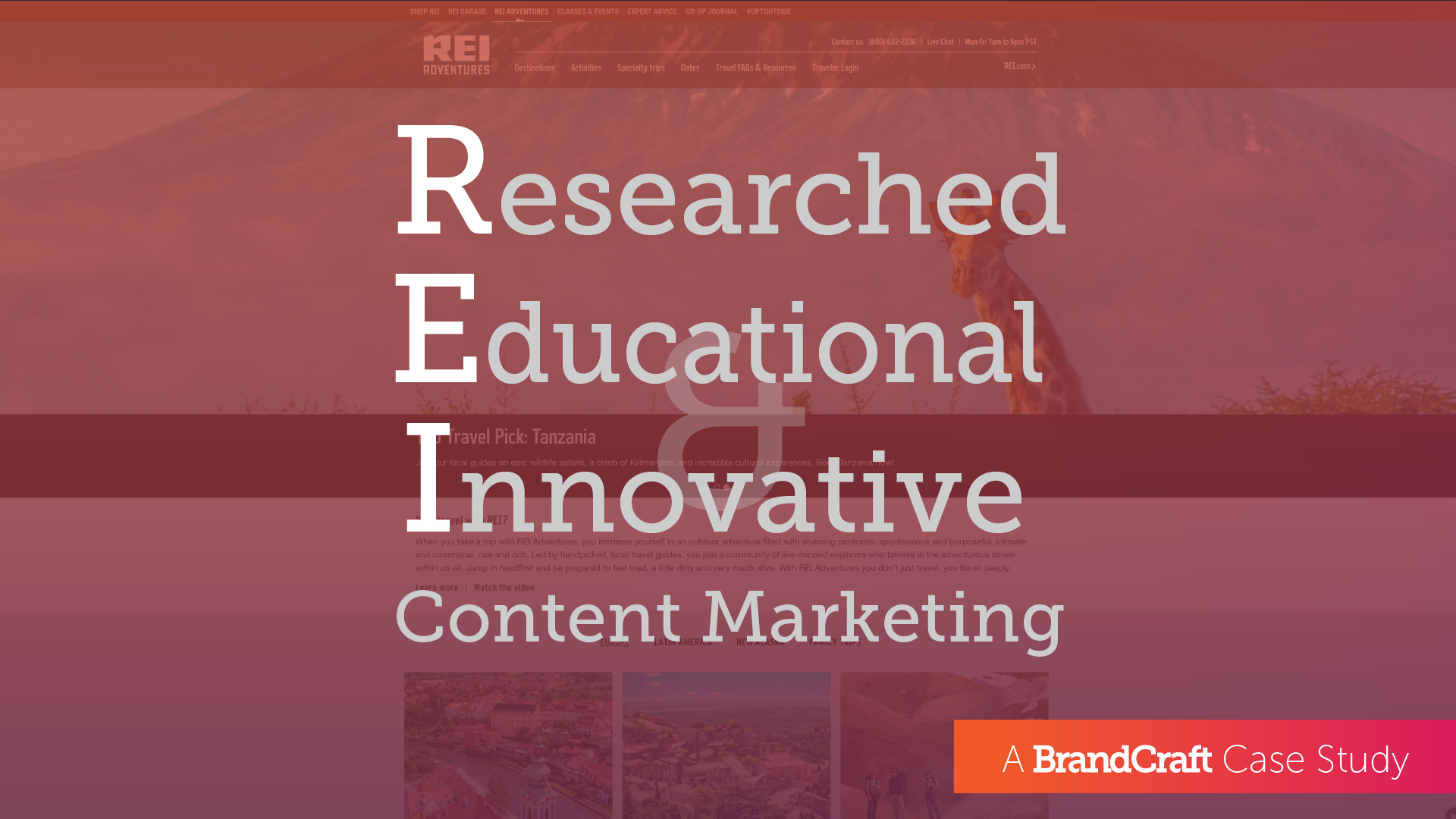 Researched Educational and Innovative Content Marketing with REI Hero